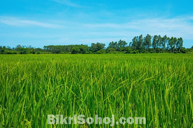 কৃষি জমি বিক্রয়